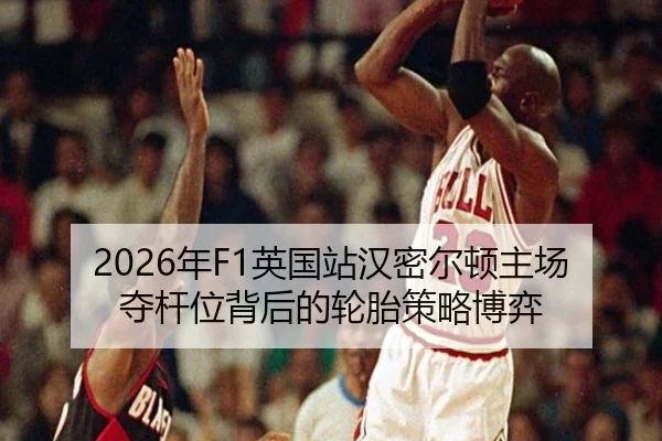 nian-ying-guo-zhan-han-mi-er-dun-zhu-chang-duo-gan-wei-bei-hou-de-lun-tai-ce-lve-bo-yi-2-576.jpg