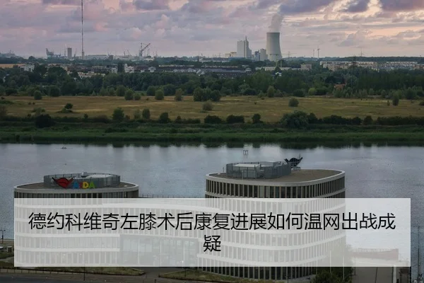 de-yue-ke-wei-qi-zuo-xi-shu-hou-kang-fu-jin-zhan-ru-he-wen-wang-chu-zhan-cheng-yi-3-315.jpg